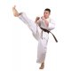 Beltor Pas Karate Kyokushinkai