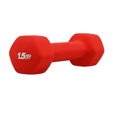 PF HANTLA ŻELIWNA W OSŁONIE NEOPRENOWEJ 1,5 KG