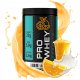 DFN PRO WHEY PROTEIN 300g