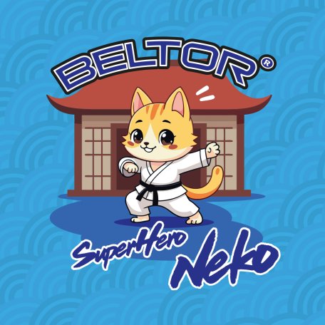 BELTOR NAKLEJKA KARATE VLEPKA PAPIEROWA KARATE CAT POMARAŃCZOWA w 8x8cm