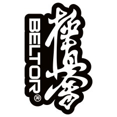 BELTOR MAGNES KARATE NA LODÓWKĘ KANJI KYOKUSHINKAI 48x80 mm