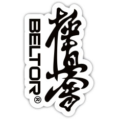 BELTOR MAGNES KARATE NA LODÓWKĘ KANJI KYOKUSHINKAI 48x80 mm