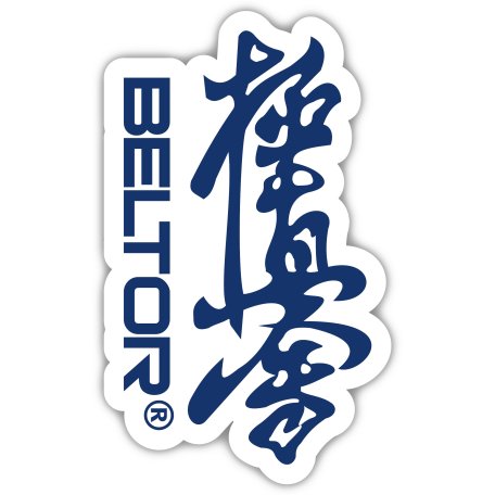 BELTOR MAGNES KARATE NA LODÓWKĘ KANJI KYOKUSHINKAI 48x80 mm