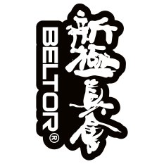 BELTOR MAGNES KARATE NA LODÓWKĘ KANJI SHINKYOKUSHINKAI 48x80 mm - BELTOR