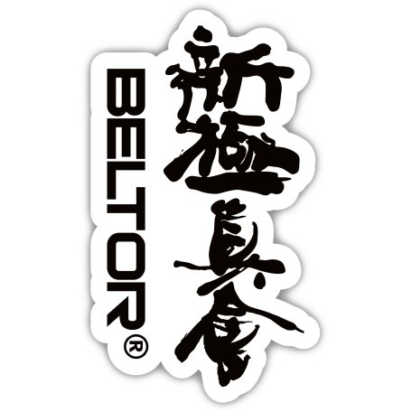 BELTOR MAGNES KARATE NA LODÓWKĘ KANJI SHINKYOKUSHINKAI 48x80 mm