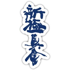 BELTOR MAGNES KARATE NA LODÓWKĘ KANJI SHINKYOKUSHINKAI 36x80 mm
