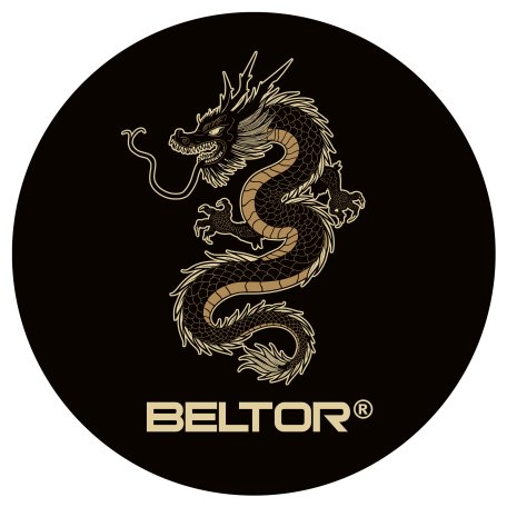 BELTOR MAGNES KARATE NA LODÓWKĘ GOLD DRAGON 60x60 mm