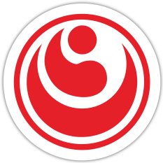 BELTOR MAGNES KARATE NA LODÓWKĘ SHINKYOKUSHINKAI KOKORO 60x60 mm