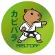 BELTOR MAGNES KARATE NA LODÓWKĘ KAPIBARA PUNCH 60x60 mm