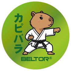 BELTOR MAGNES KARATE NA LODÓWKĘ KAPIBARA PUNCH 60x60 mm