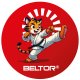 BELTOR MAGNES KARATE NA LODÓWKĘ TIGER KICK 60x60 mm