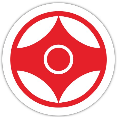 BELTOR MAGNES KARATE NA LODÓWKĘ KYOKUSHINKAI KANKU 60x60 mm