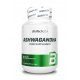 BioTech USA Ashwagandha 60 kaps