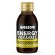CHIAS BROTHERS ENERGY VIT. C SHOT 100 ml WELSOM