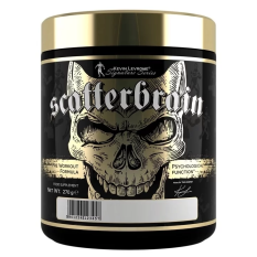 KEVIN LEVRONE SCATTERBRAIN 270 g