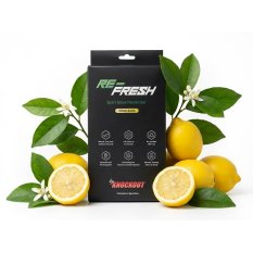 Re-Fresh Pochłaniacz wilgoci XXL